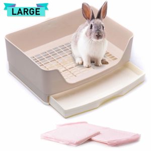 rabbit litter box