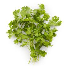 cilantro rabbit food