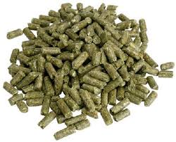 rabbit pellets