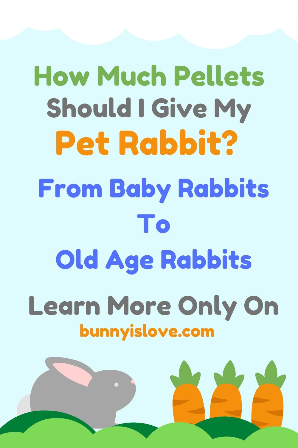 how much pellet does a rabbit eat