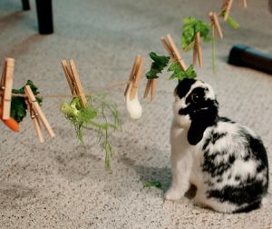 10 Diy Rabbit Toys Made From Household Items 100 Natural Cheap