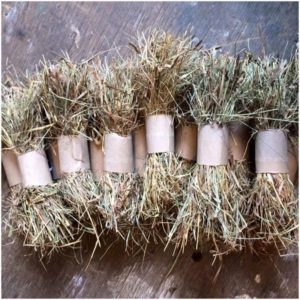 rabbit hay toy