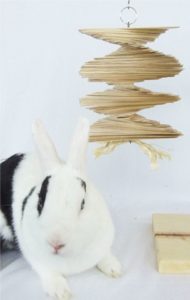 popsicle stick rabbit toy