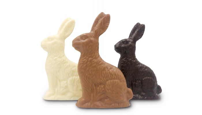 Can Rabbits Eat Chocolate? Is Chocolate Safe For Rabbits?