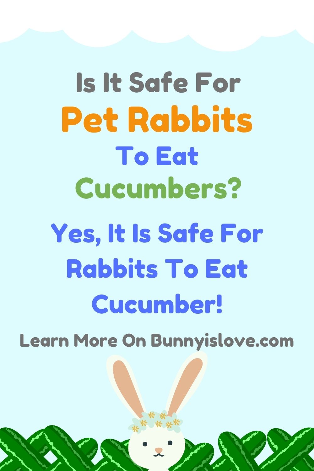 Can Rabbits Eat Cucumbers Pin