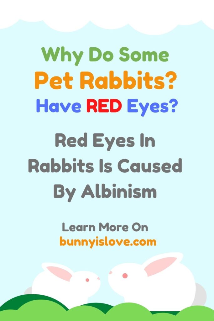 Rabbits Have Red Eyes