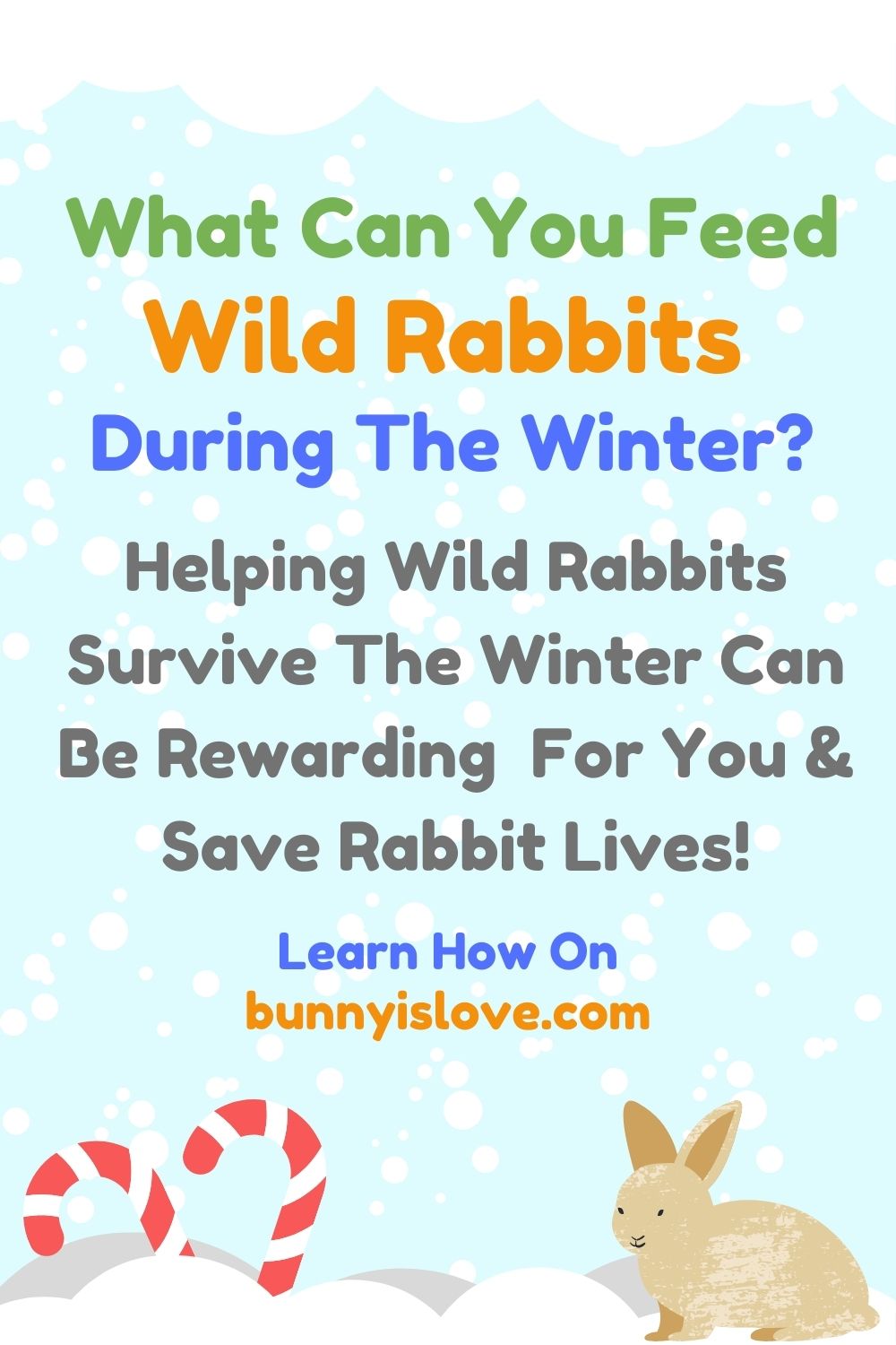 what to wild rabbits during winter