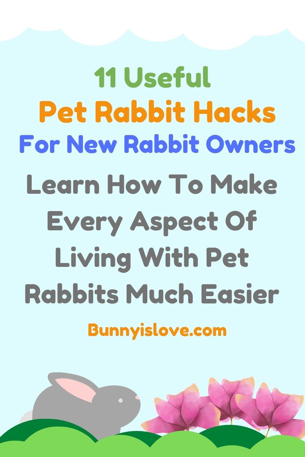 pet rabbit hacks