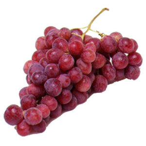 red grapes for rabbits