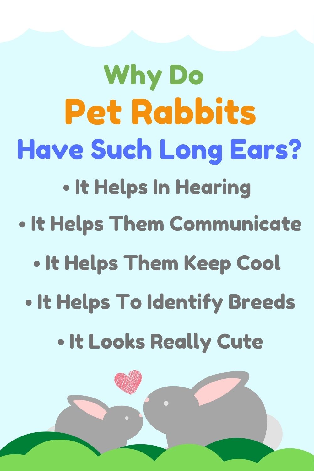 Pet Rabbits Have Long Ears