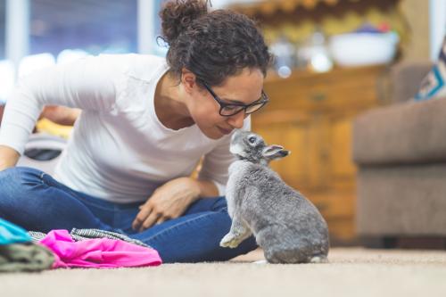 5 Easy Steps To Teach Your Rabbit To Come When You Call
