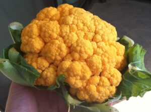 orange cauliflower