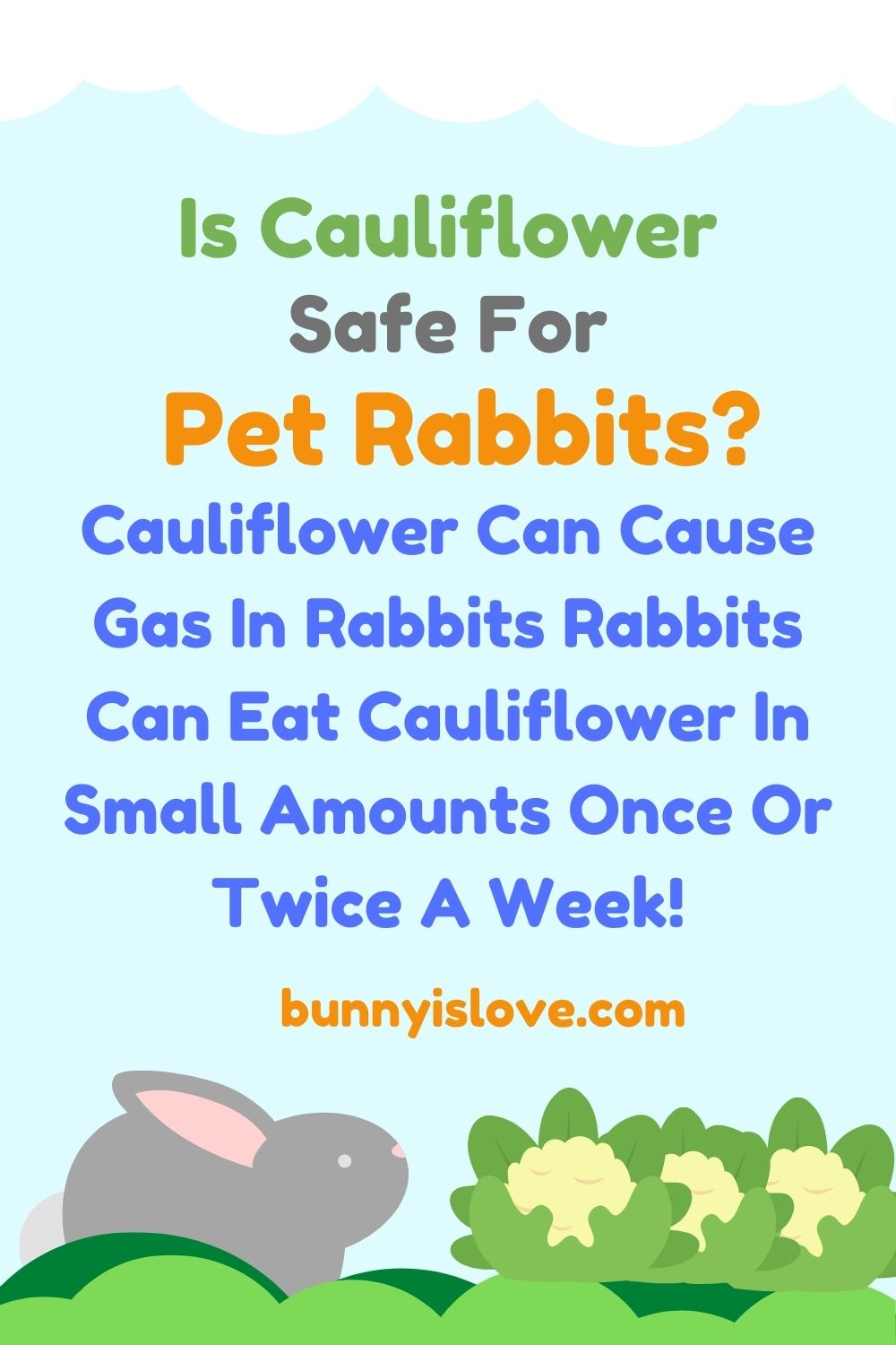 Can Rabbits Eat Cauliflower Pin